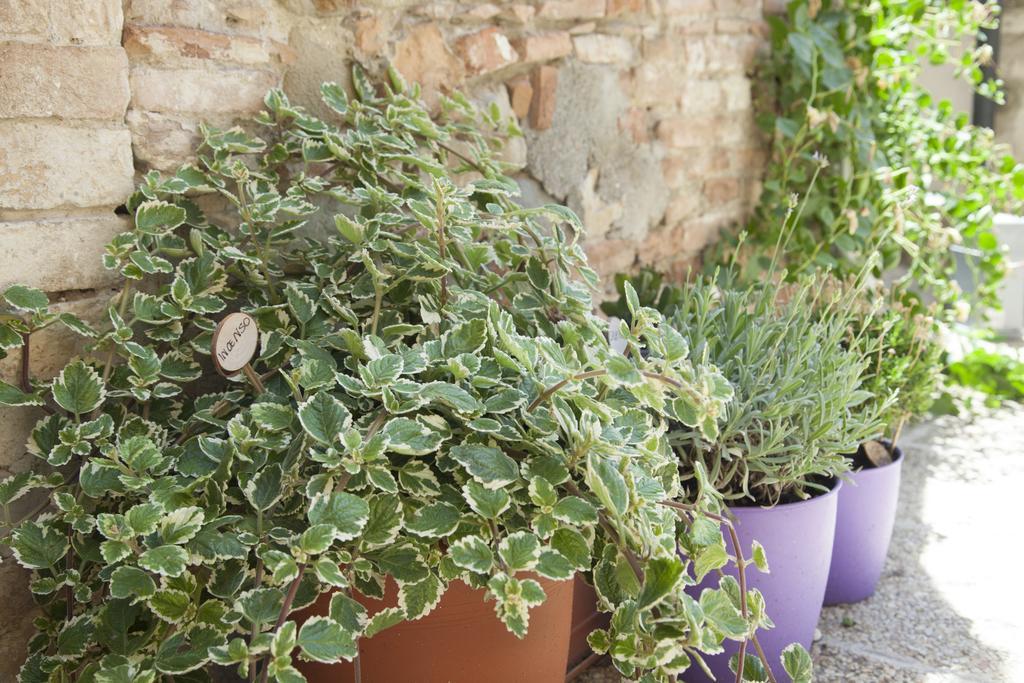 Break And Bed Bed and Breakfast Perugia Exteriör bild