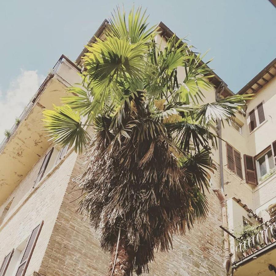 Break And Bed Bed and Breakfast Perugia Exteriör bild